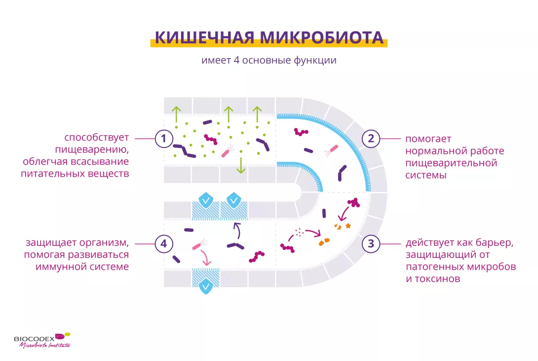 Урогенитальные инфекции